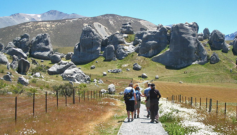 Wnzq-new-zealand-walking-2